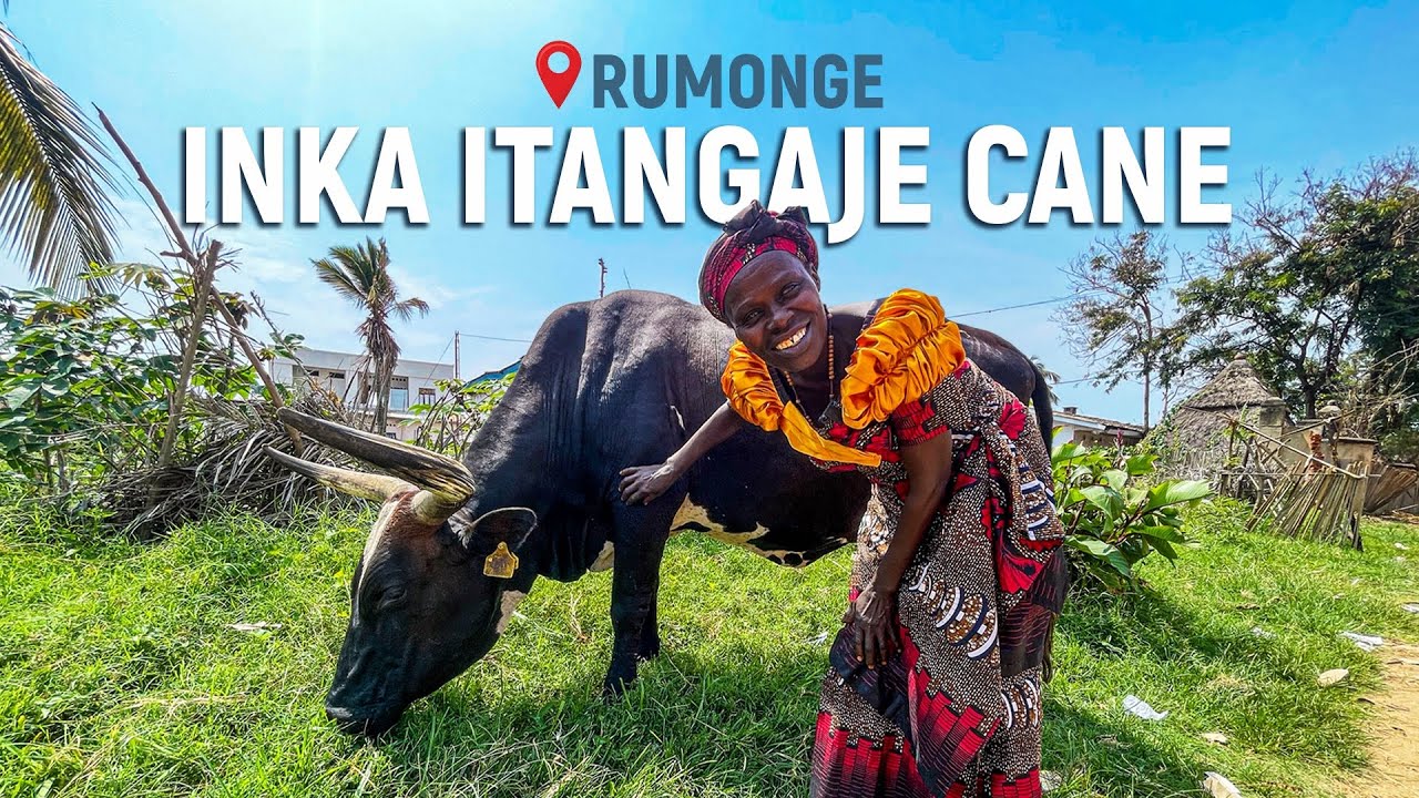 🐄 Inka ifise ubwenge / Iriragira yonyene / Iritwara ibirometero n’ibindi ikongera ikitahana