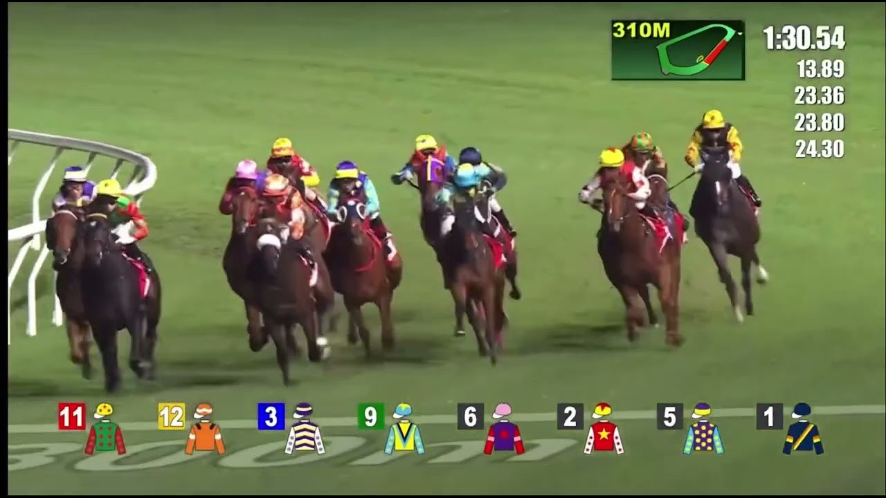 Hongkong Horse Racing at Happy Valley : November 27,2024(Wednesday)Race 9 -Class 3 -1800 m