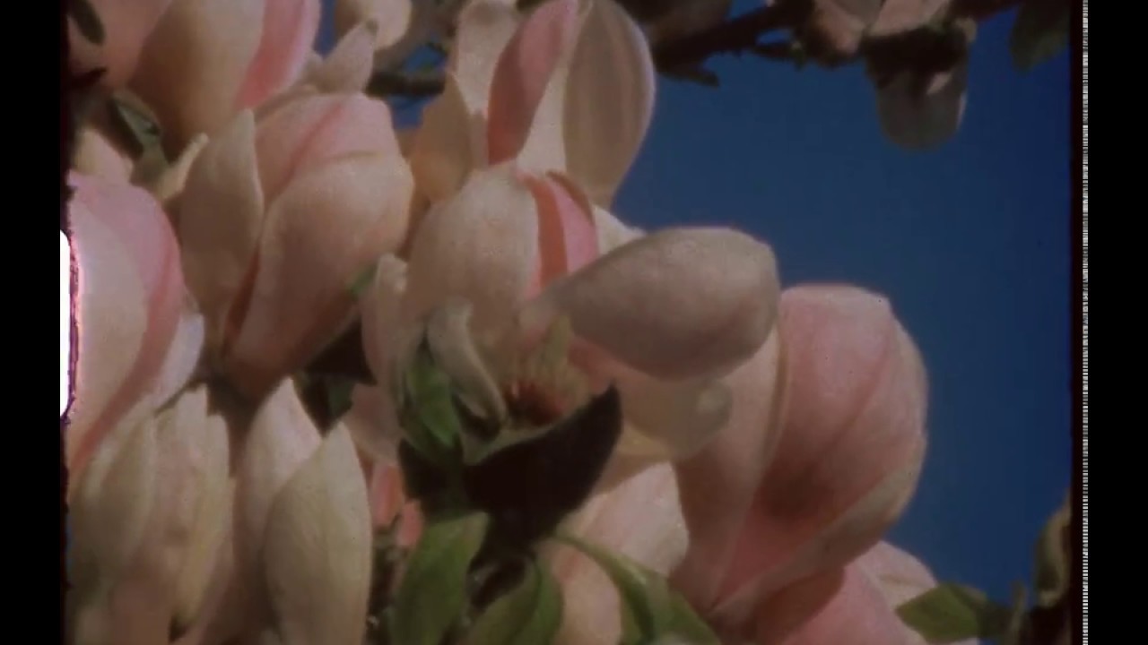 London - March, 2017. Super 8, shot on Kahl NC 17