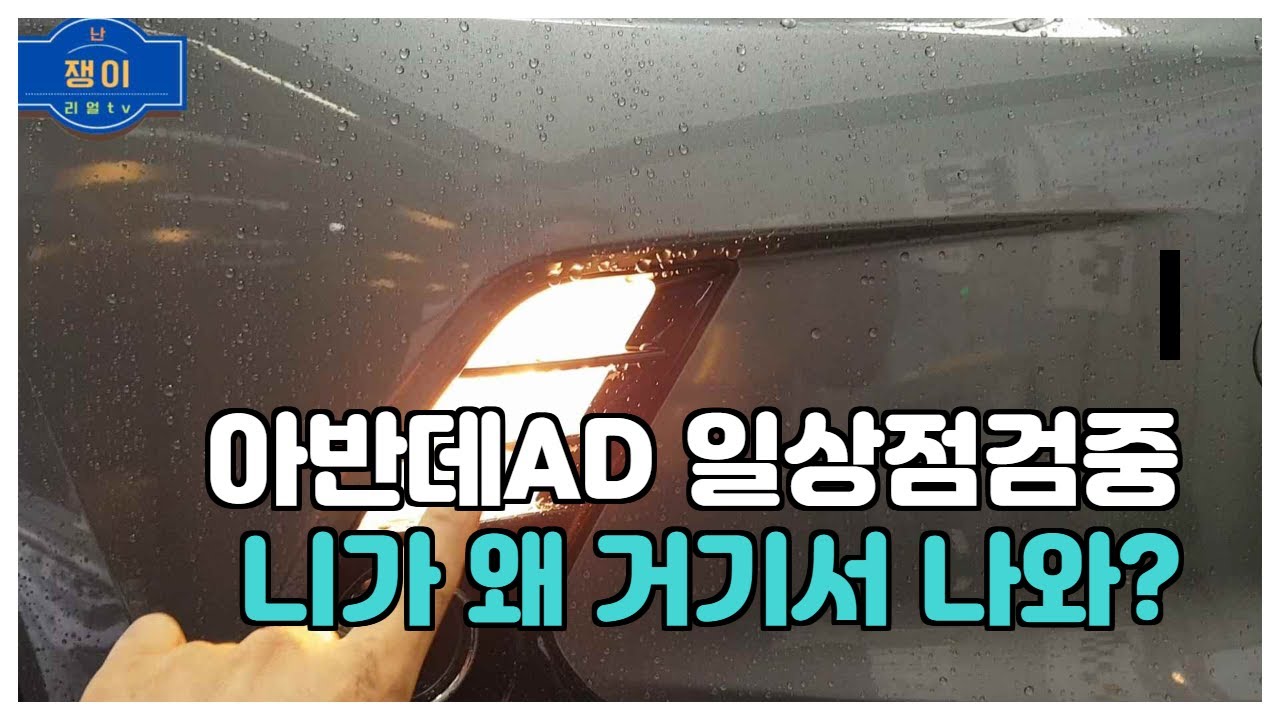 아반데AD 일상점검중인데 주간주행등이 좀../보기엔 똑같지만 기능이 다른 벌브류