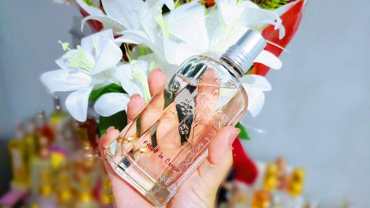 Meus FLORAIS Favoritos | Nacionais, Importados e Inspirados