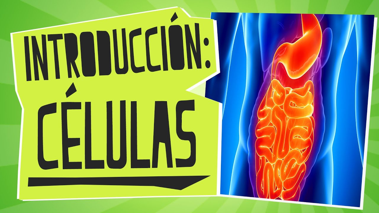 Introducción a las células - Biología - Educatina