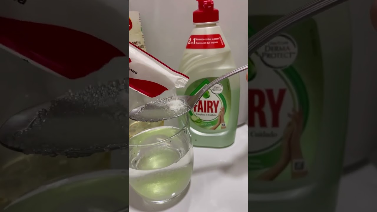 &iexcl;Atrapa moscas en tu casa con este incre&iacute;ble truco casero!