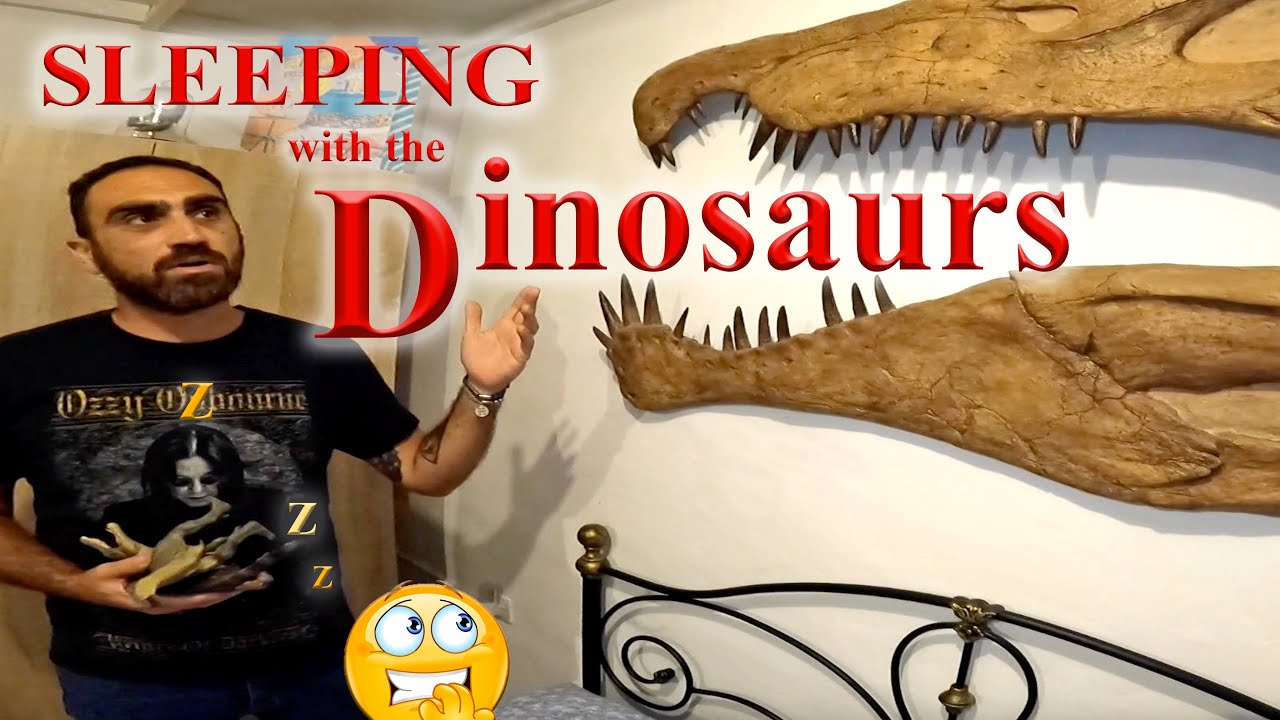 Richest Natural History Collection in Malta ⁉️ Part 1 ... Arnold Sciberras - CNG Trekventures