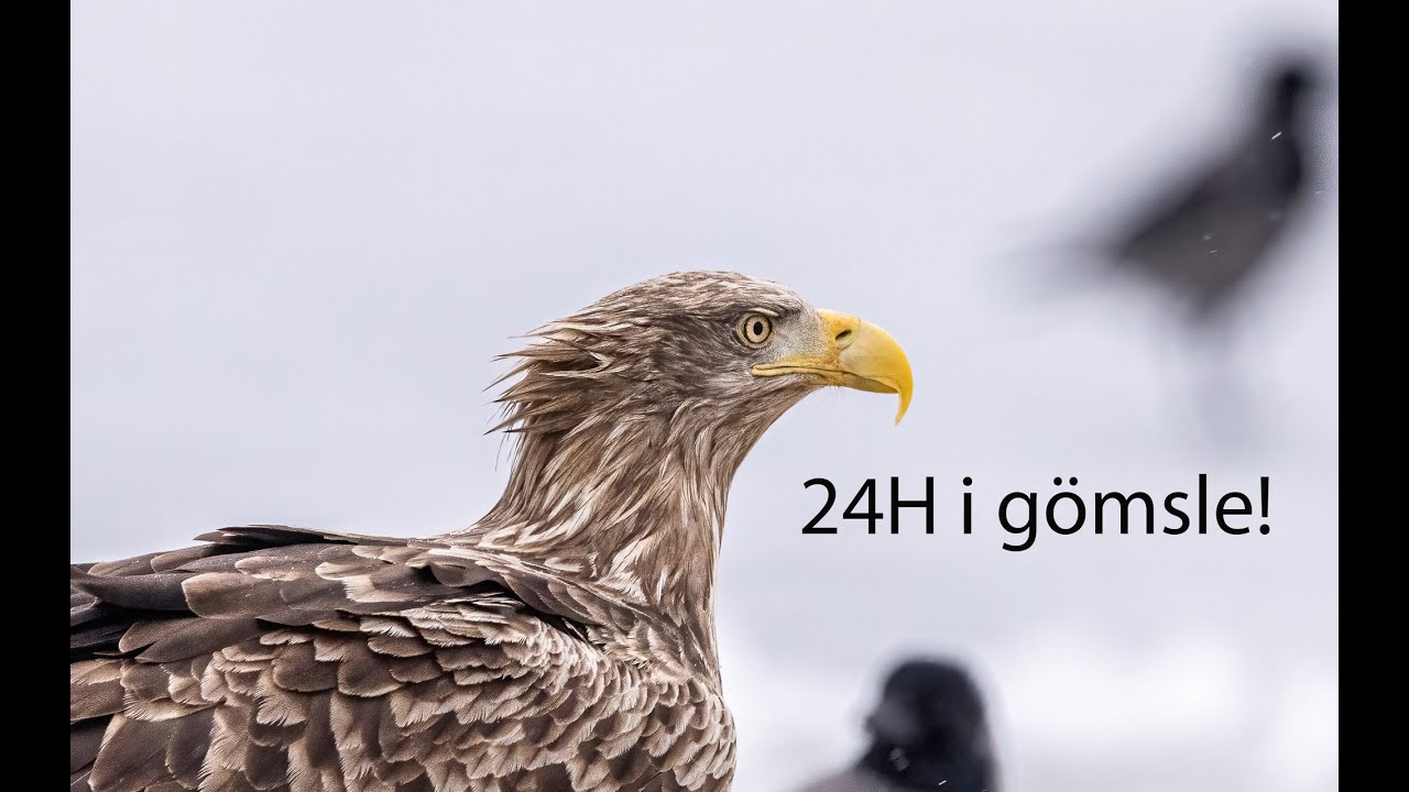 24H i ett örngömsle!