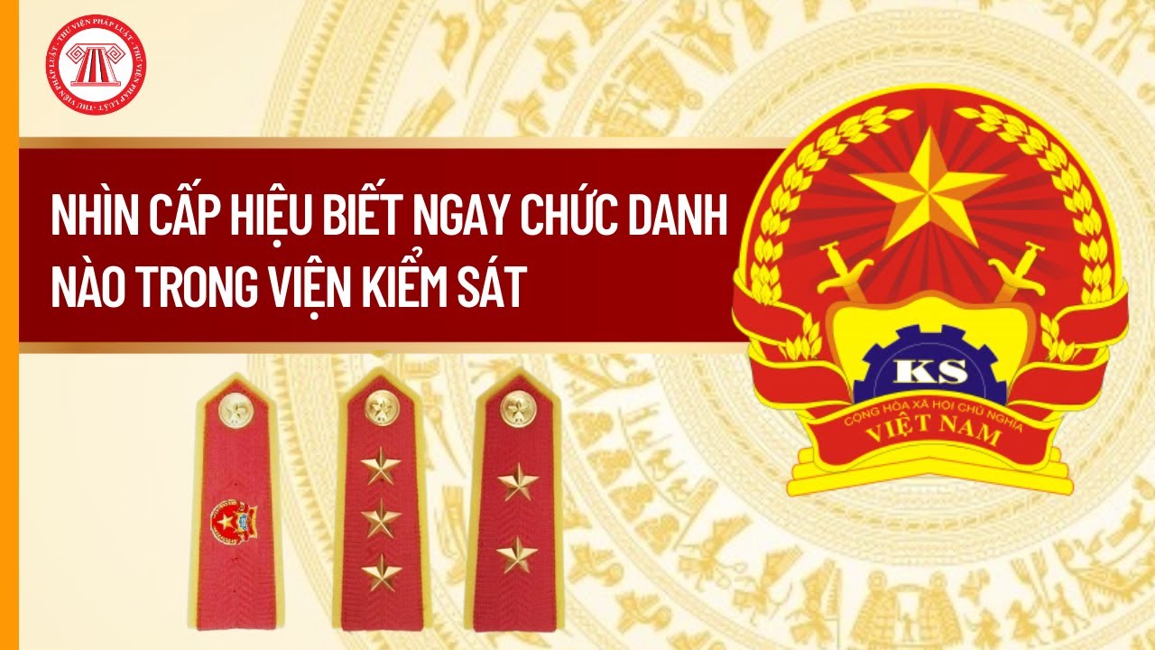 Nhìn Cấp Hiệu Biết Ngay Chức Danh Nào Trong Viện Kiểm Sát | THƯ VIỆN PHÁP LUẬT