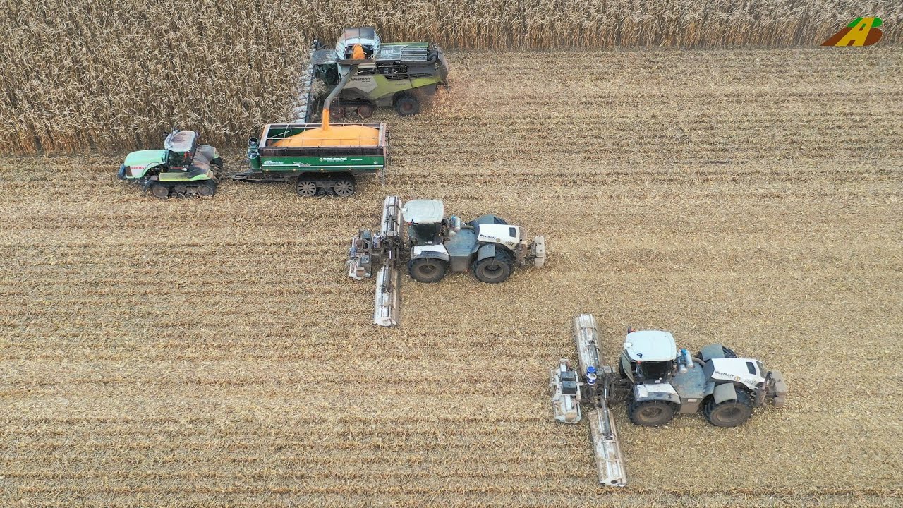 Körnermais dreschen  Ernte 2021 Großeinsatz Landwirtschaft Lexion, Challenger Raupe & Xerion Mulchen