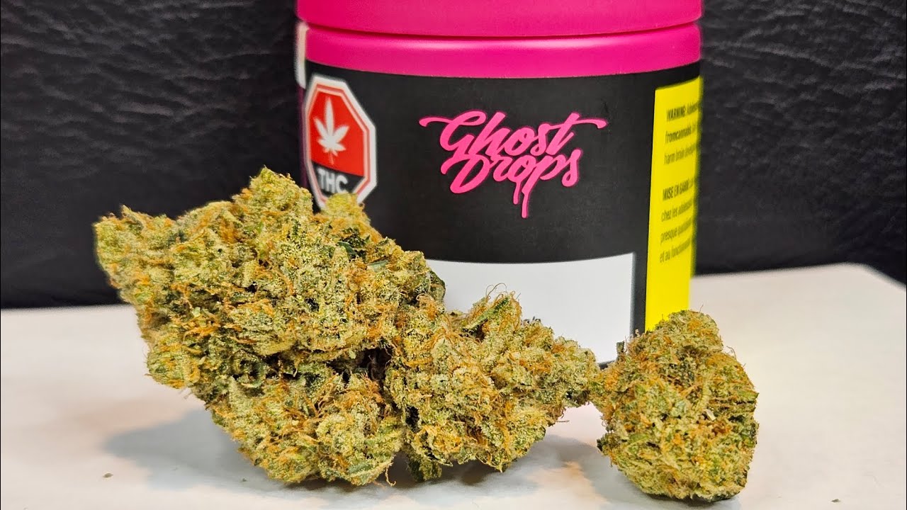 Strain Review Z-Splitter By Ghost Drops