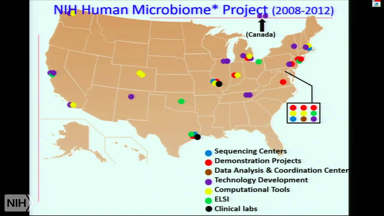 Functional dynamics of the gut microbiome in health and disease