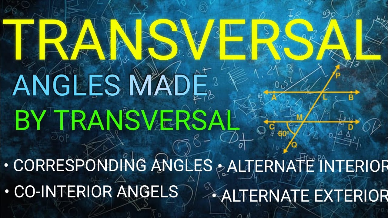 CLASS 7/MATHS/TRANSVERSAL AND ANGLES MADE BY TRANSVERSAL/CBSE/NCERT 