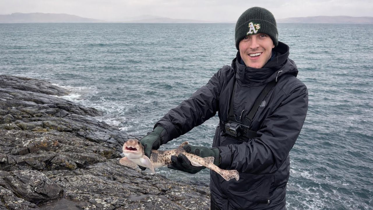 Fishing the Wet and Windy West Coast of Scotland - 4lb Lure caught Pollock & a Dogfish on the bait