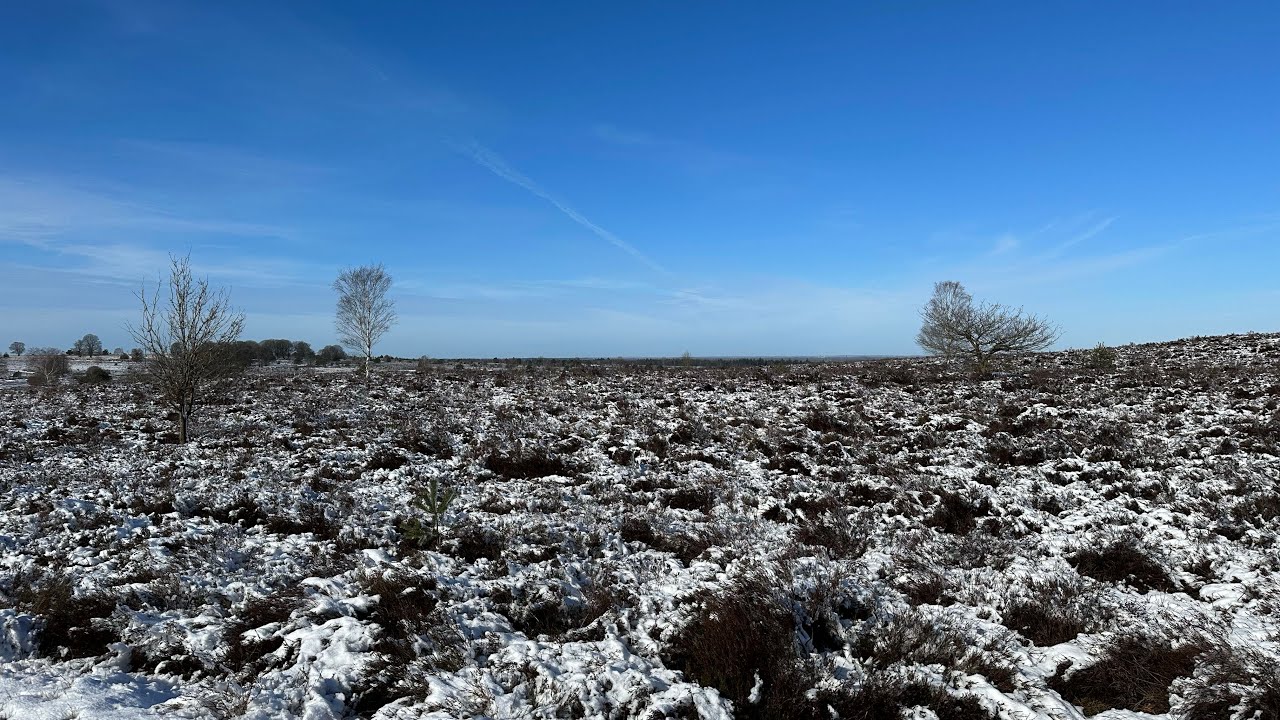 Rondje Sallandse heuvelrug