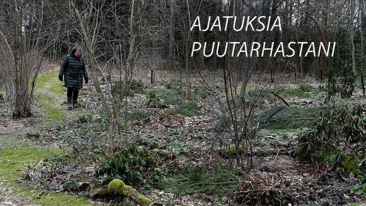 Ajatuksia puolivillistä puutarhastani