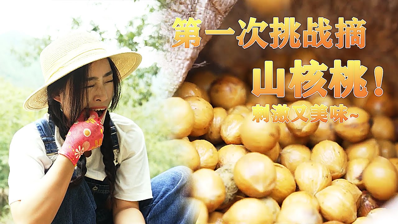 💪第一次挑战亲手从树上摘山核桃，摘、闷、洗、晒、烤，刺激又美味！香喷喷的山核桃，营养价值还超高👍