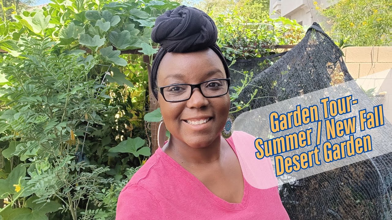 Garden Tour- Summer / New Fall Desert Garden - Hidden Veggies