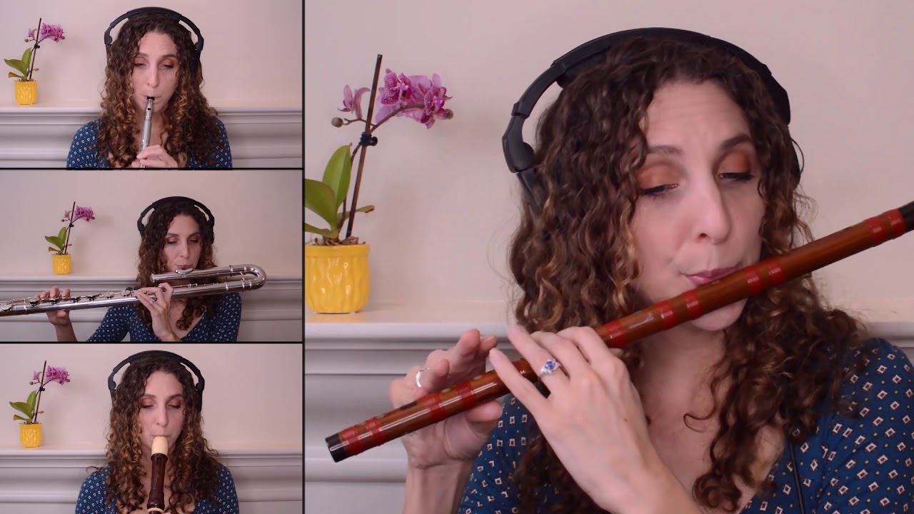 Here Comes the Sun : The Beatles (world flute arrangement)