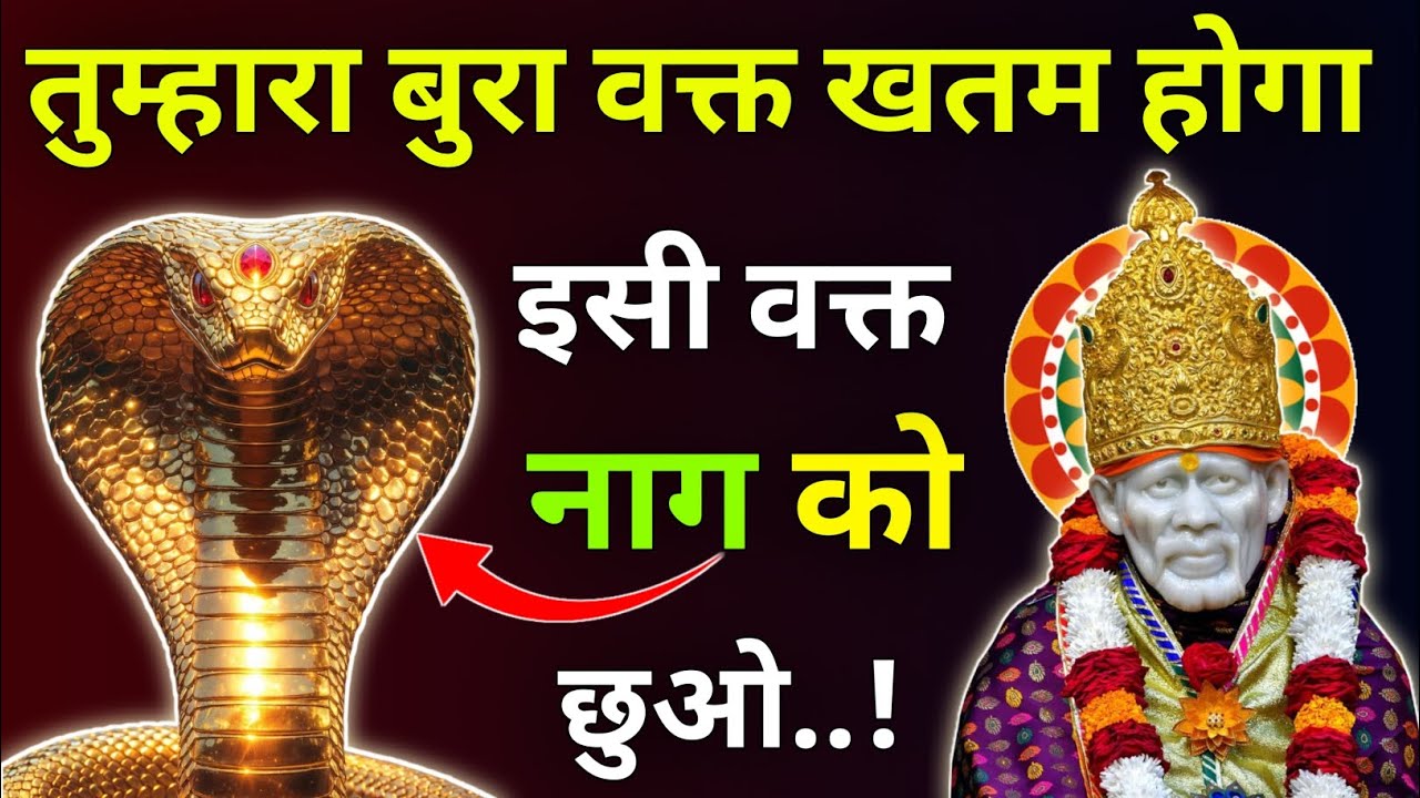 तुम्हारा बुरा वक्त खतम होगा इसी वक्त नाग को छुओ |Sai Updesh |Sai Vichar |Sai Vani |Sai Gyan 
