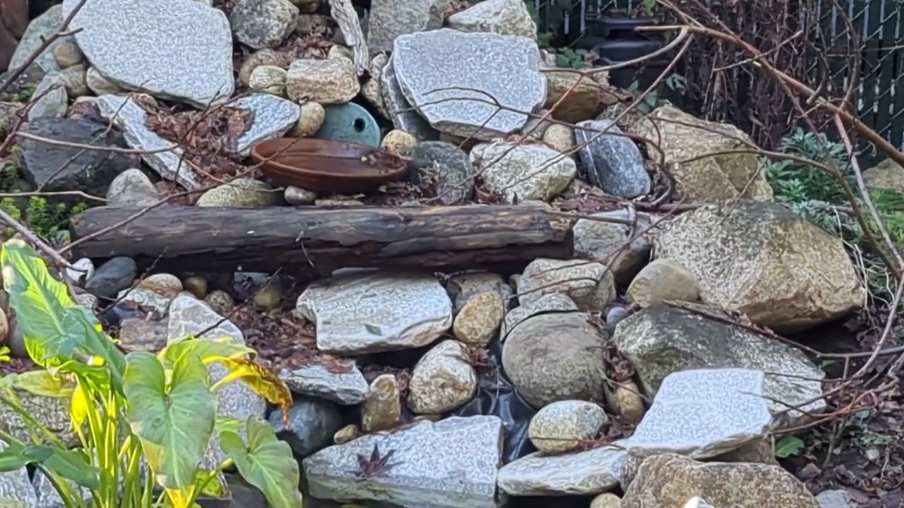 Yardwork 