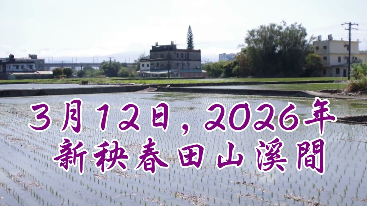 2026-03-12新秧春田山溪間