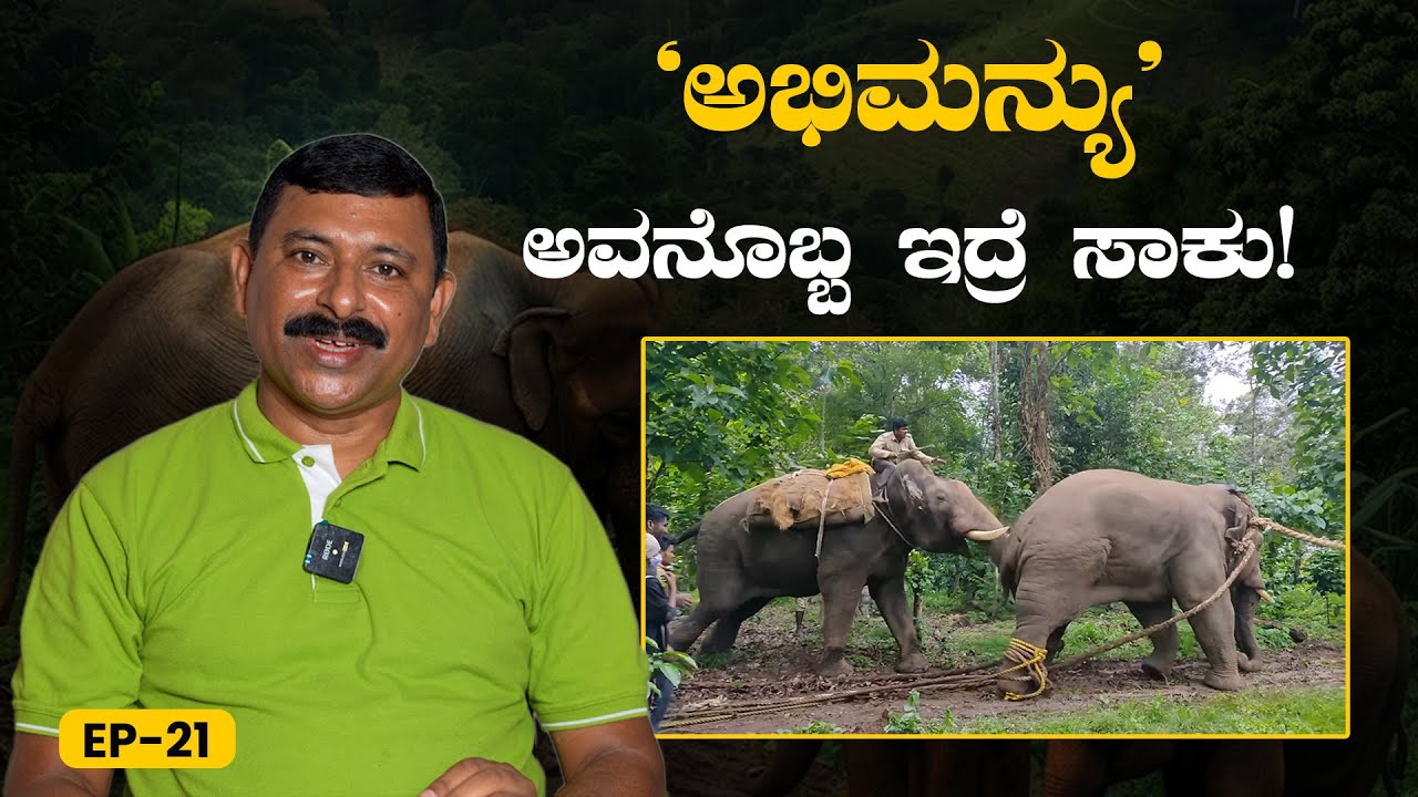 EP-21| ಒಬ್ಬ ಅಭಿಮನ್ಯು, ಎರಡು ಬಲಿಷ್ಠ ಕಾಡಾನೆ! |Dasara Elephant Abhimanyu |Ramesh Uthappa | GSS MAADHYAMA