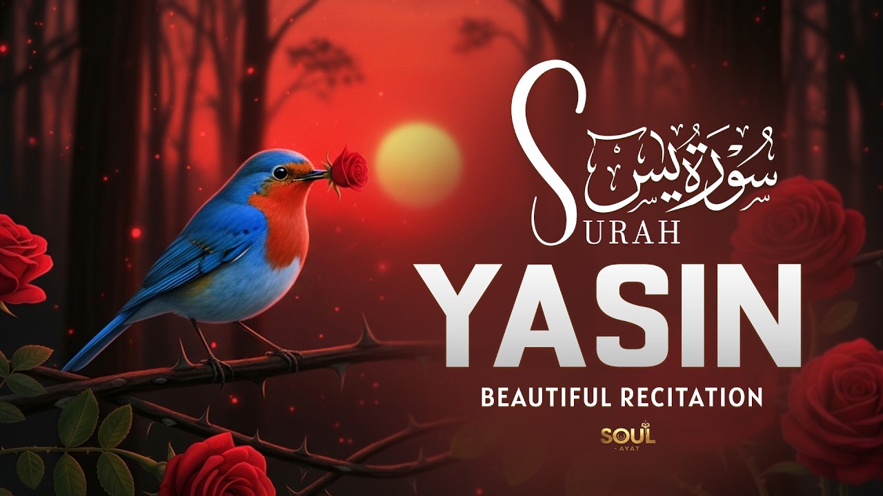 Surah Yasin(سورة يس)Heart Touching Quran Recitation Bringing Comfort To All