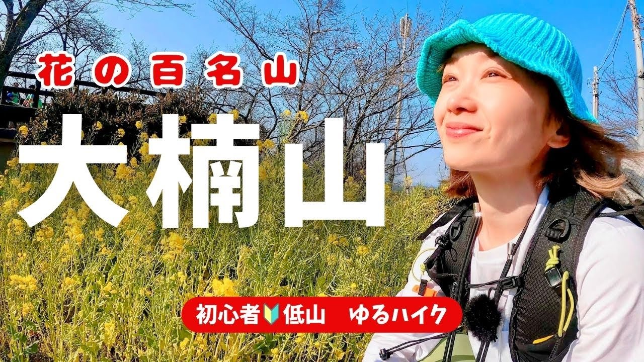【神奈川】大楠山｜春を探して三浦半島（花の百名山）　#初心者　＃低山