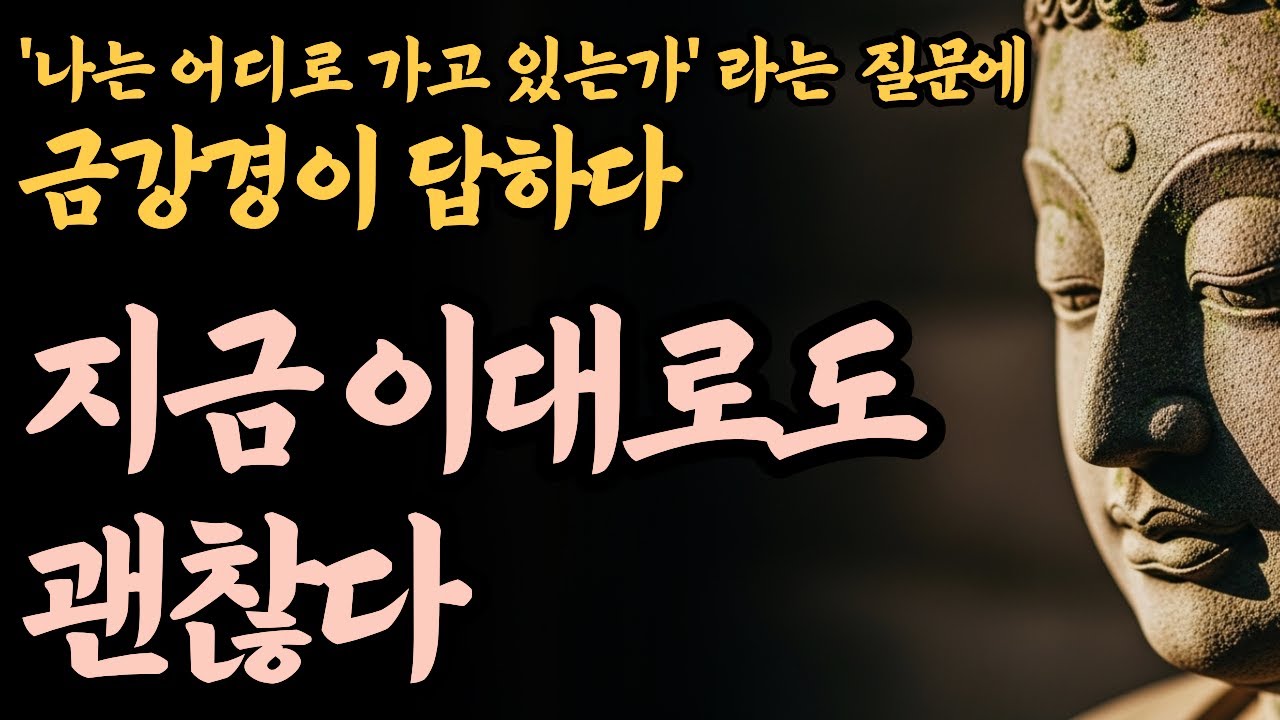자책하며 잠들지 마세요. 금강경이 전하는 '이대로도 충분하다'는 따뜻한 위로 | 금강경 | 인생조언 | 오디오북 | 지혜 | 철학 | 수면 | 낭독 | ASMR