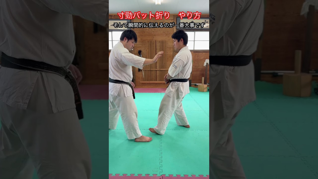 【武道・武術】寸勁でのバット折り　やり方　解説！！　#aikido ＃karate #martial #武道 #空手＃合気道＃筋トレ#selfdefens