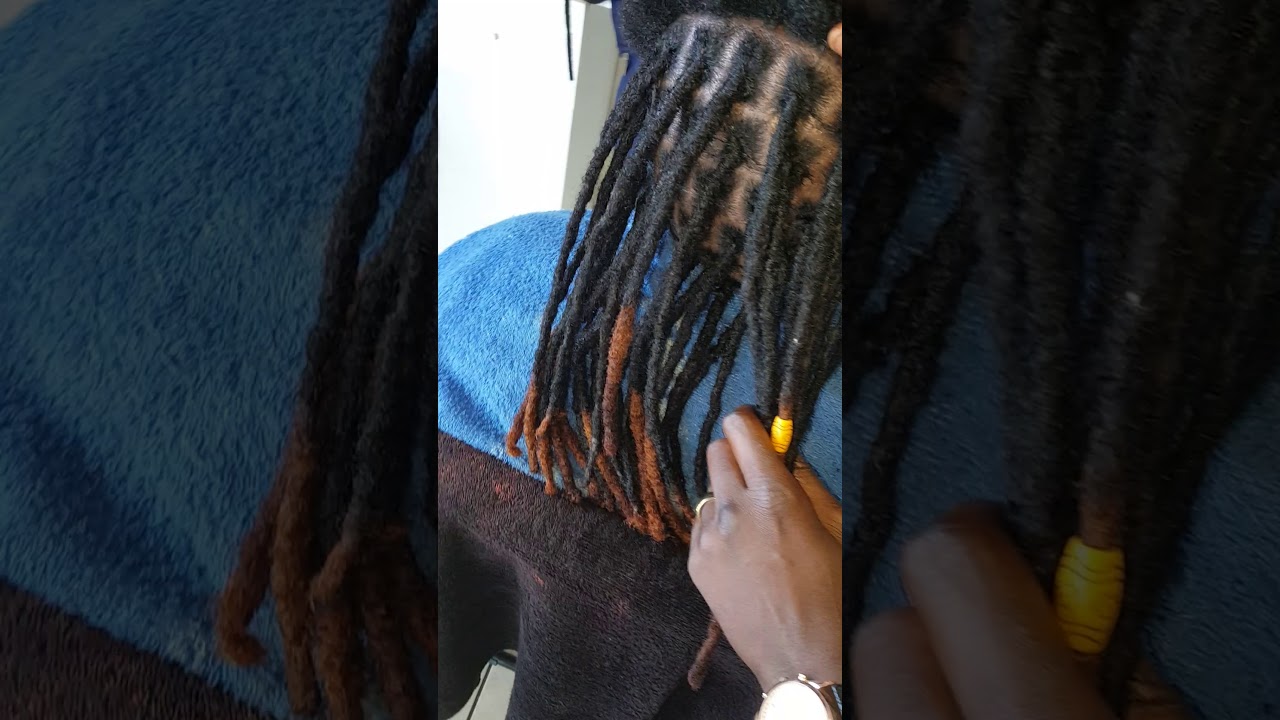 Fresh Dreadlocks planting