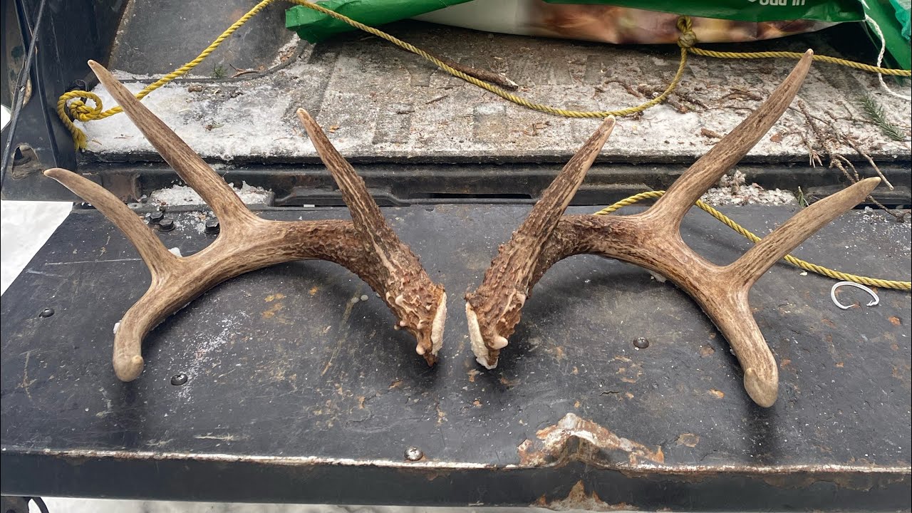 2026 Shed Hunting Alberta, part 1 Jan/Feb