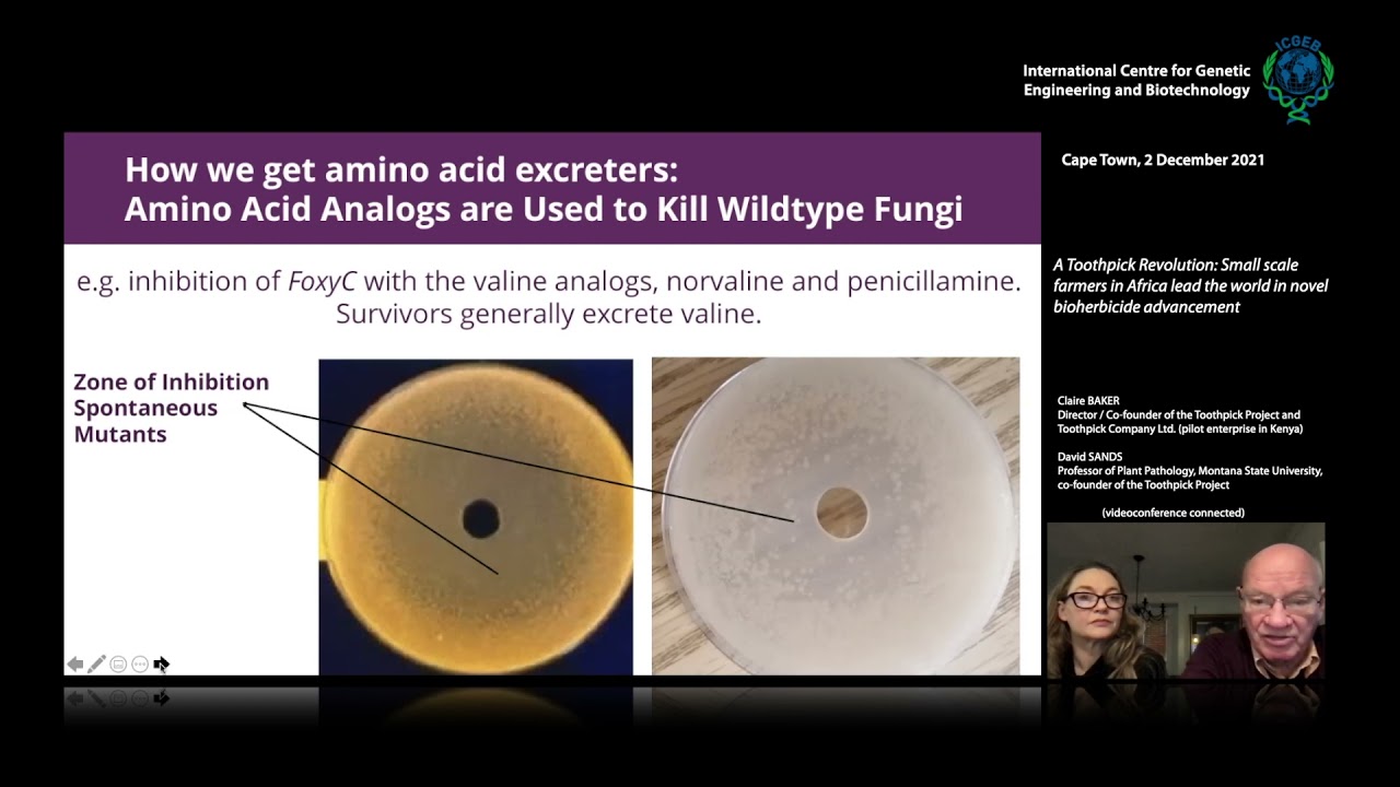C Baker & D Sands - Small scale farmers in Africa lead the world in novel bioherbicide advancement