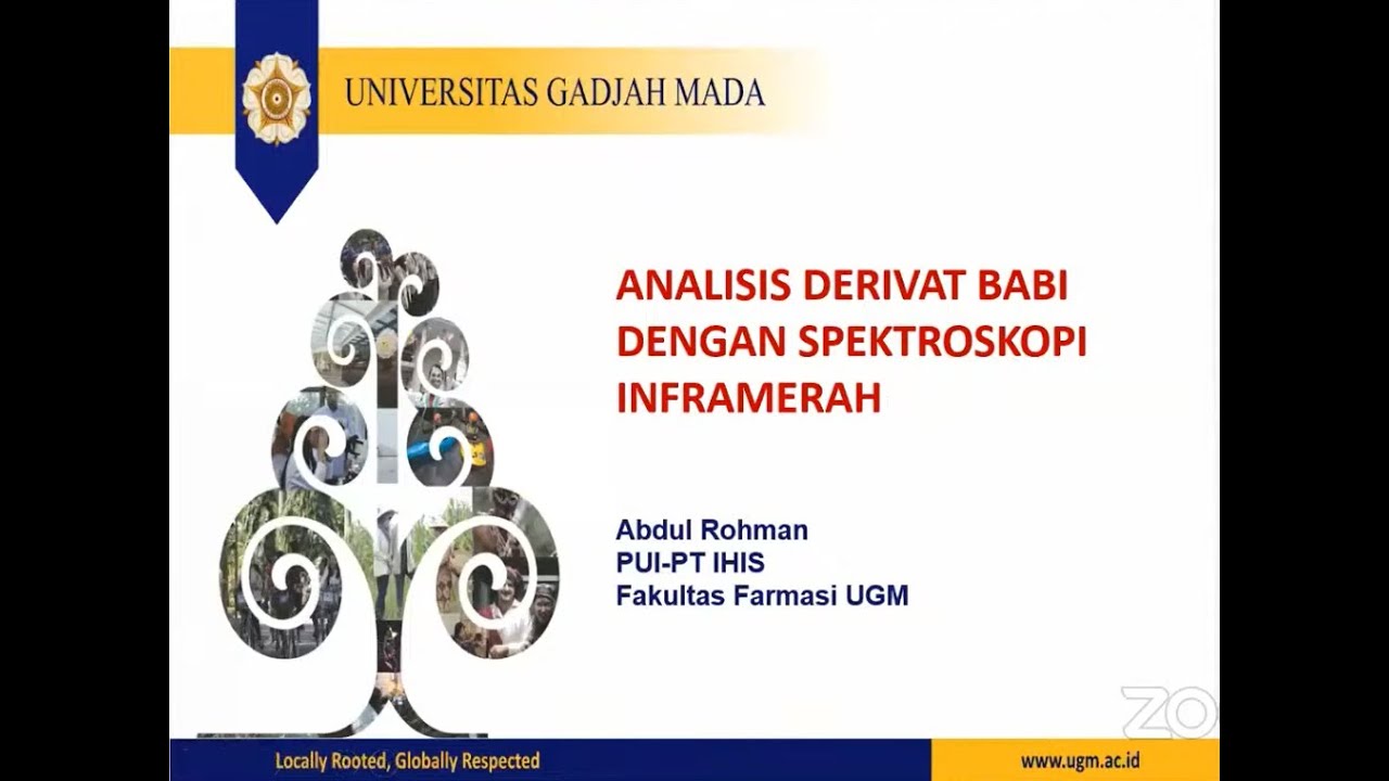 Analisis Derivat Babi dengan Spektroskopi Inframerah