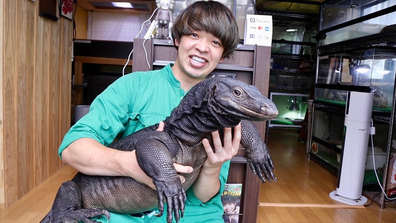 巨大トカゲを飼育する犬猫ブリーダーの家がヤバすぎた