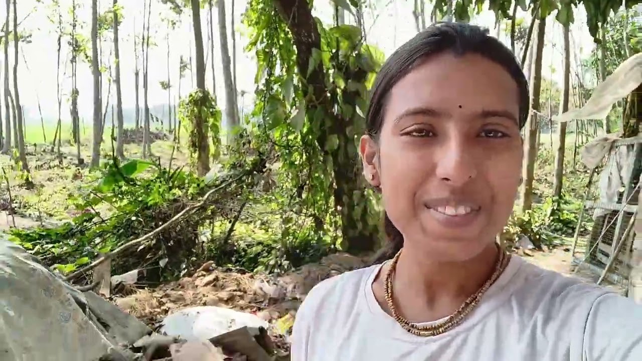আমার গ্রামের কিছু সুন্দর দীর্ষ #livestreaming #vlogger