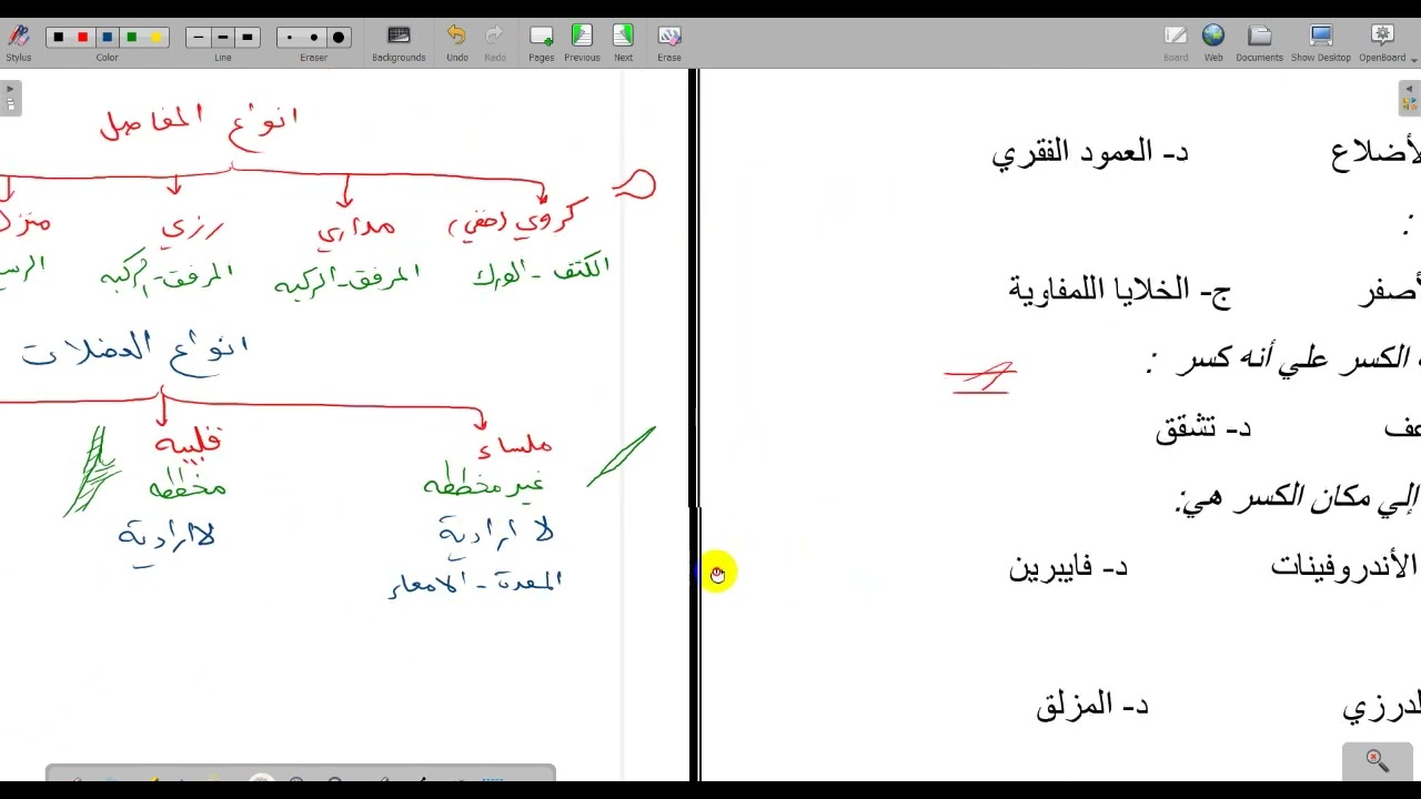 حل اسئلة الفصل الرابع الجهاز الهيكلي والعضلي احياء 2 مقررات الصف الثاني الثانوي