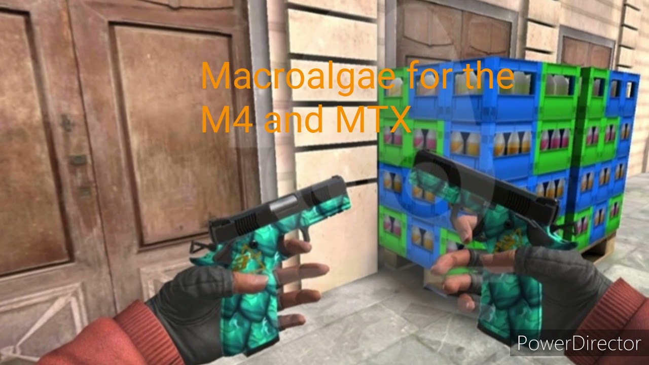 Critical Ops|1.29|Season Pass 29 Leaks!!!(NEW BALISONG!!!)