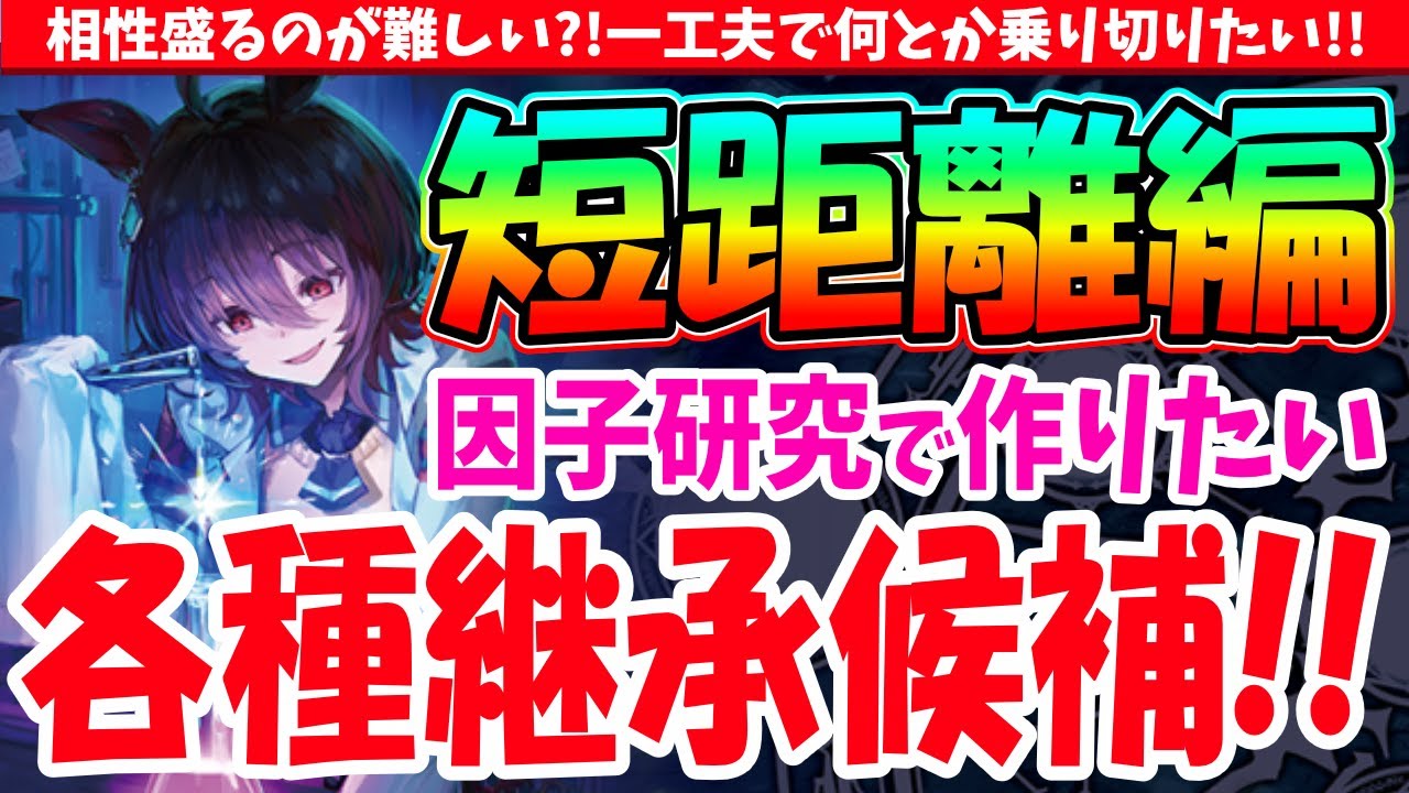【因子】10月短距離チャンミ用!!相性盛るのが難しい?!各種継承候補の話　#ウマ娘