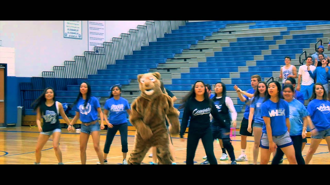 2015 VHHS Senior Video