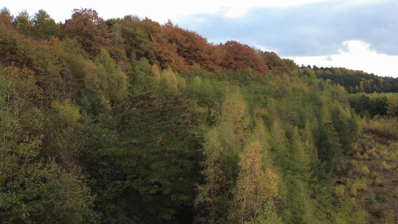 Herbstflug Teil 1
