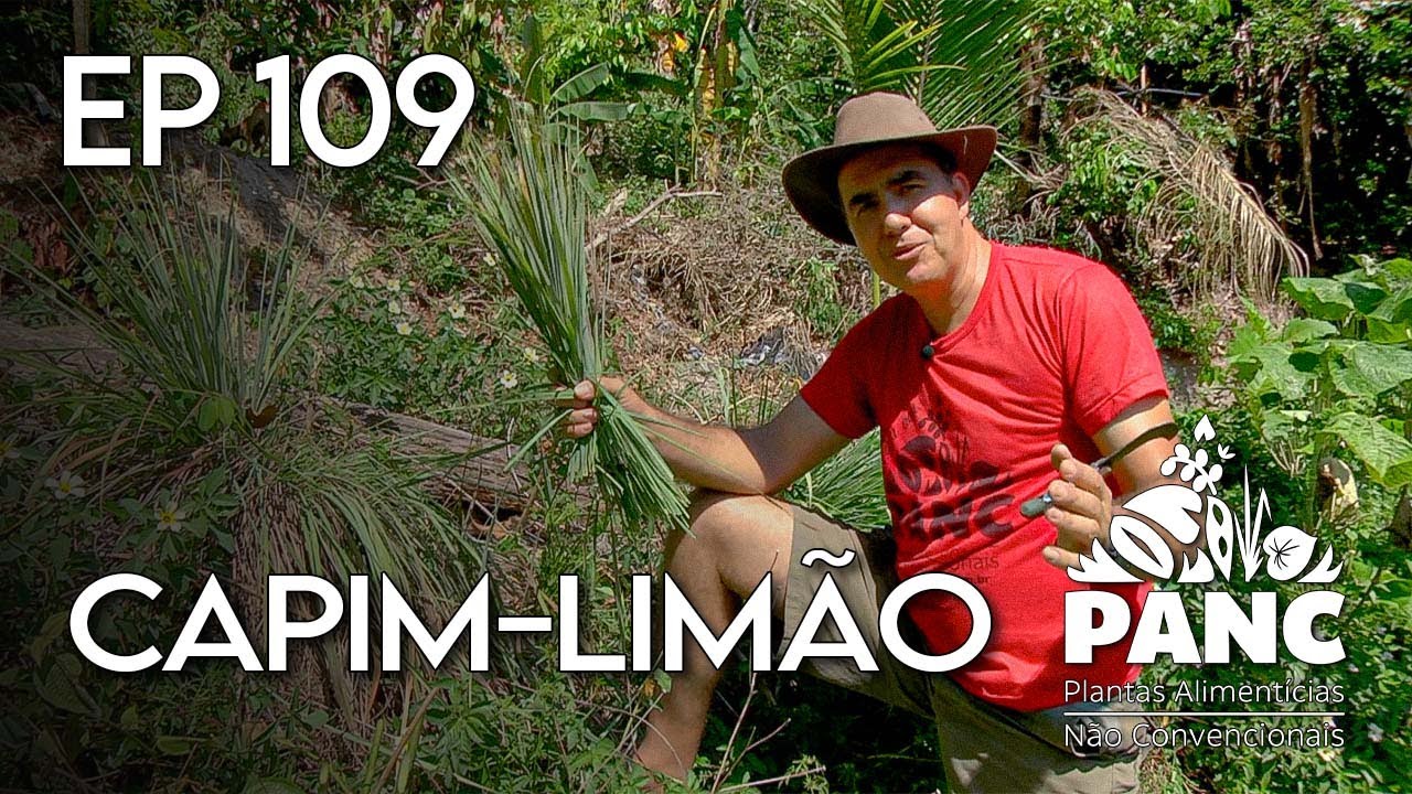 EPISÓDIO 109 - CAPIM-LIMÃO | #pancnaveia #valdelykinupp