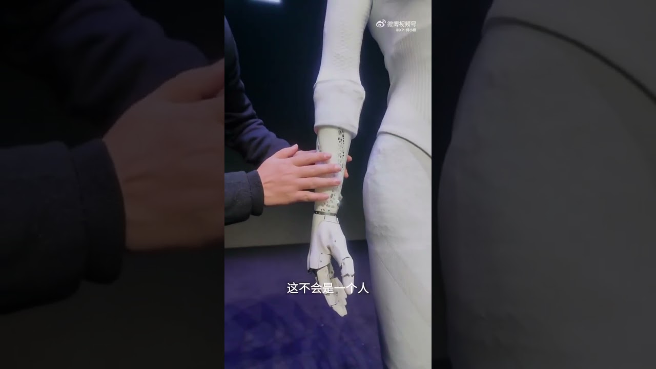 The advancement of the Chinese robot technology is astonishing 