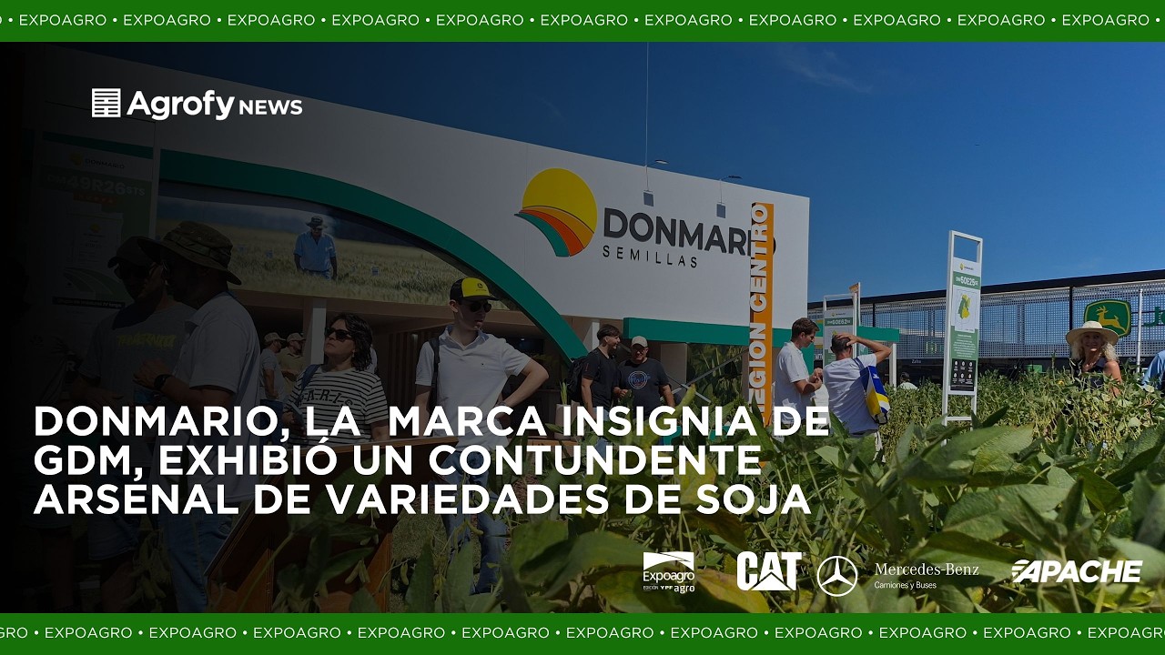DONMARIO Semillas y un 