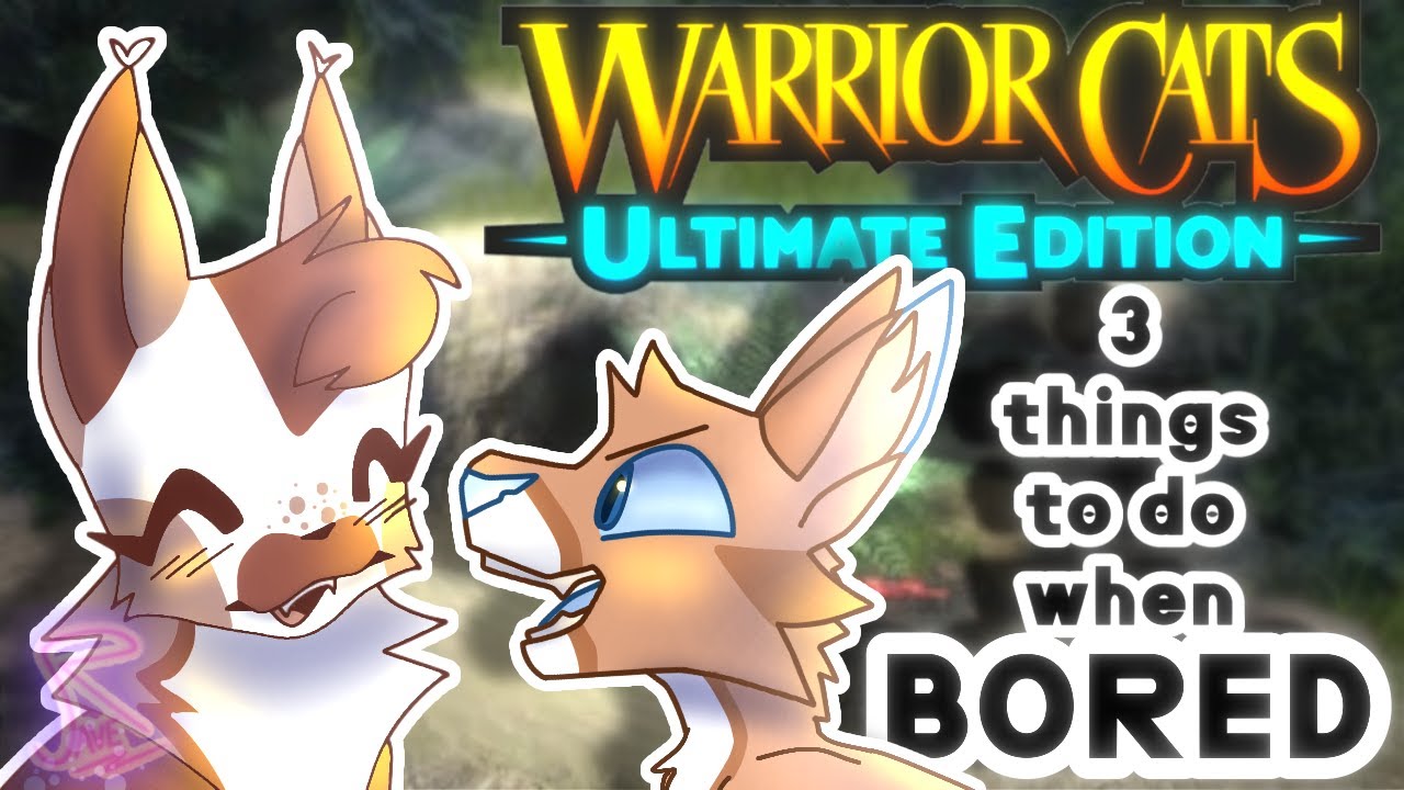 || 3 THINGS TO DO WHEN BORED! In wcue || #wcue