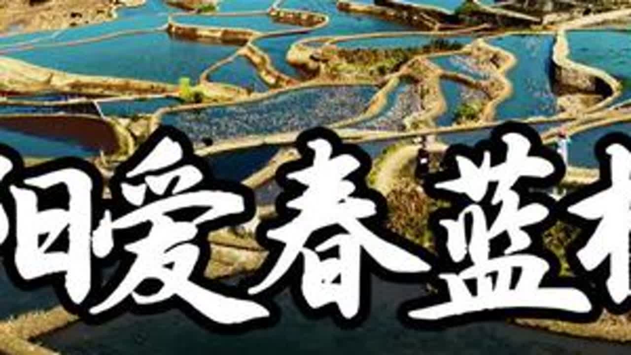元阳爱春蓝梯田蓝色之美，大自然的调色板 #元阳梯田 #元阳哈尼梯田 #爱春蓝梯田 #云南自驾游 #记录美好