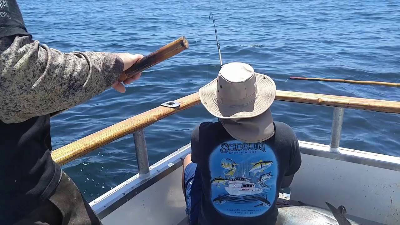 Huge Bluefin Tuna   caught off San Diego coast