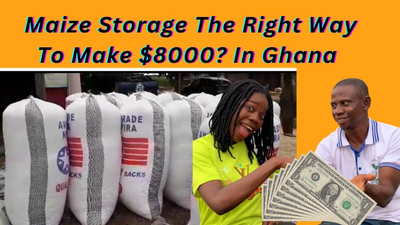 the cost and process of maize storage in Ghana | right time to achieve $8000 profit