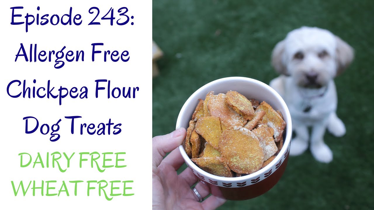 Allergen Free Chickpea Flour Dog Treats // Wheat Free // Dairy Free