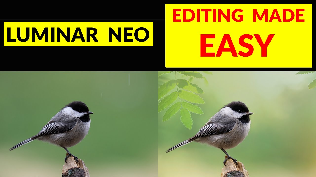 Luminar Neo. Editing made EASY
