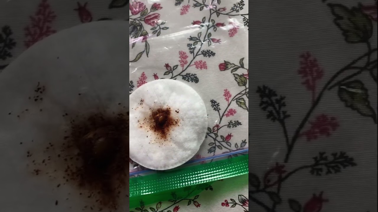 Growing an Orange Tree from a seed