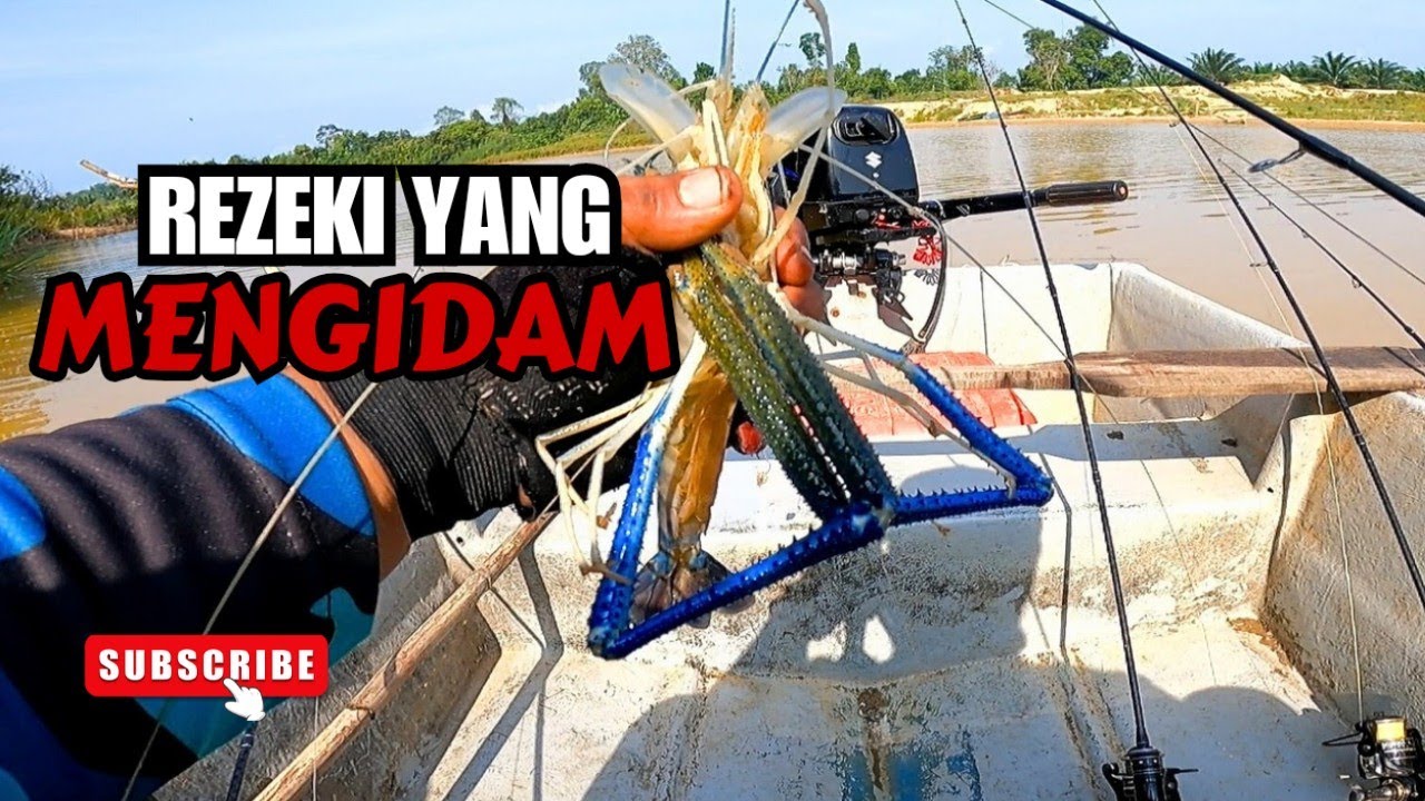 UDANG GALAH SUNGAI KUANTAN #vlog139 #unlimitedfishing #unlimitedhobby